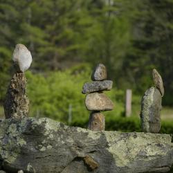 Garden of Debby and Barton Jones 2023